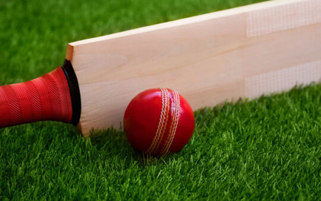 Kashmir willow bats to dazzle in 2023 ODI World Cup