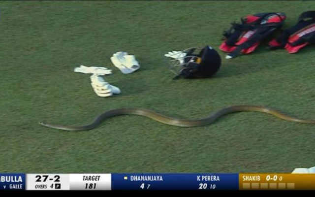 LPL 2023: Snake stops play in Galle Titans vs Dambulla Aura clash