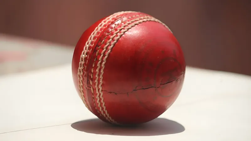 बॉलिंग स्ट्राइक और हिटिंग विकेट: बहरीन क्रिकेट बोर्ड के रहस्यों का खुलासा