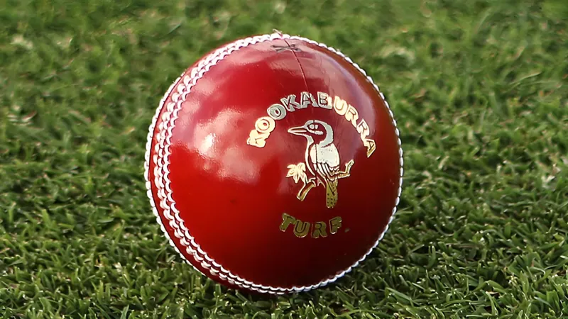 Cricket ball prices: क्या आप जानते हैं क्रिकेट के एक बॉल की कीमत कितनी है? रेट जानकर सिर घूम जायेगा