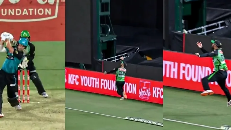 Watch Glenn Maxwell’s stunner sends back Will Prestwidge in BBL 2024-25